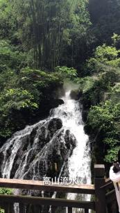 逃离制药厂